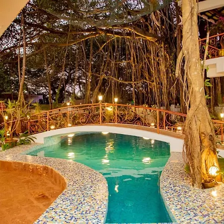 Singing Tree By Nirvana Hotels